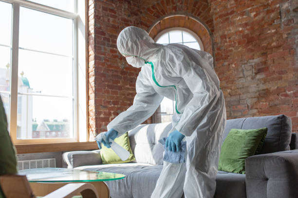 Best Industrial Mold Remediation in Topton, PA