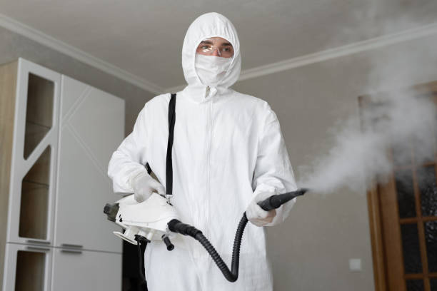 Best Environmental Consulting for Mold Prevention in Topton, PA